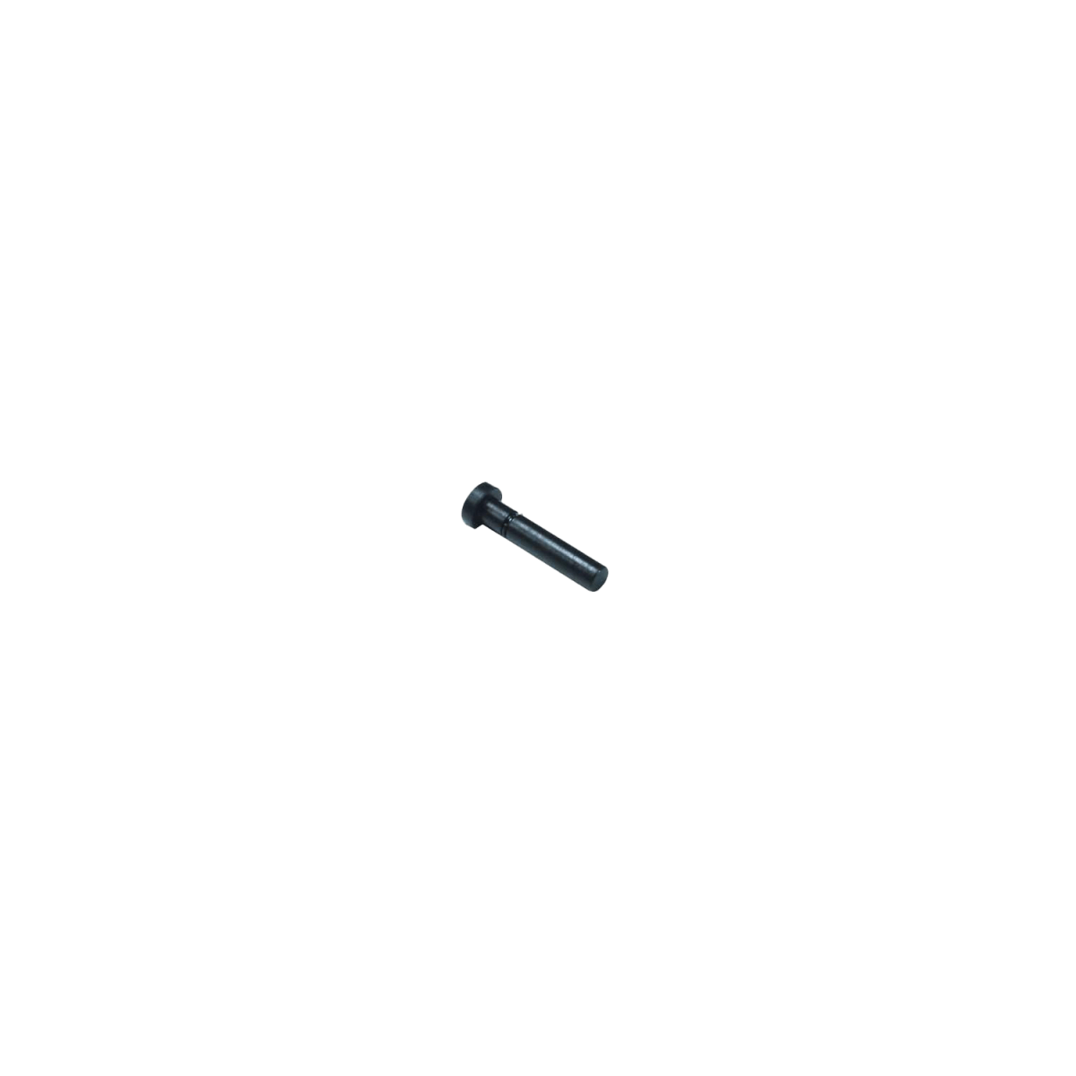 ICS Front and Rear Receiver Pins